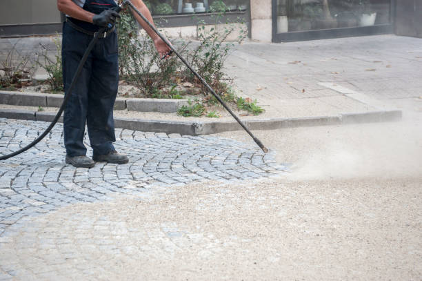 Best Gutter Cleaning and Brightening in La Marque, TX
