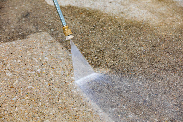Best Residential Pressure Washing in La Marque, TX