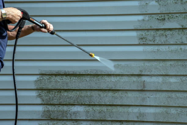 Best Commercial Pressure Washing in La Marque, TX